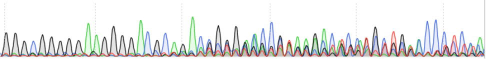 IPSC-DYR0100-CAS9 cell line Product Validation Data（RT-QPCR）