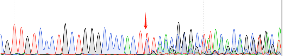 22RV1-CAS9 cell line Product Validation Data（RT-QPCR）