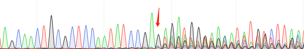 266-6-CAS9 cell line Product Validation Data（RT-QPCR）