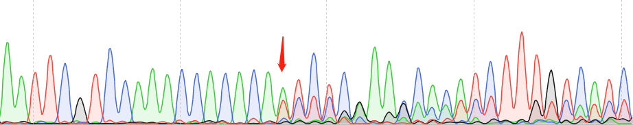 4T1-CAS9 cell line Product Validation Data（RT-QPCR）