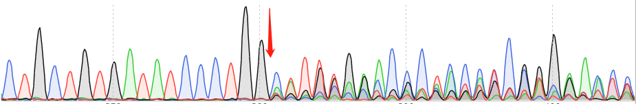 A-375-CAS9 cell line Product Validation Data（RT-QPCR）