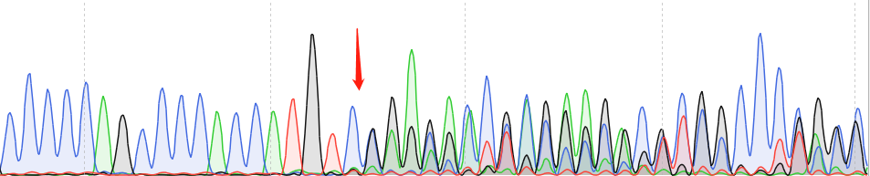 AGS-CAS9 cell line Product Validation Data（RT-QPCR）