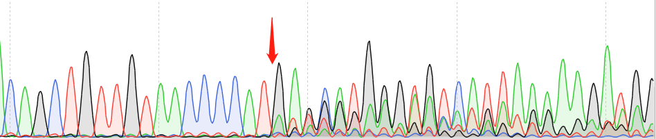 BAF3-CAS9 cell line Product Validation Data（RT-QPCR）