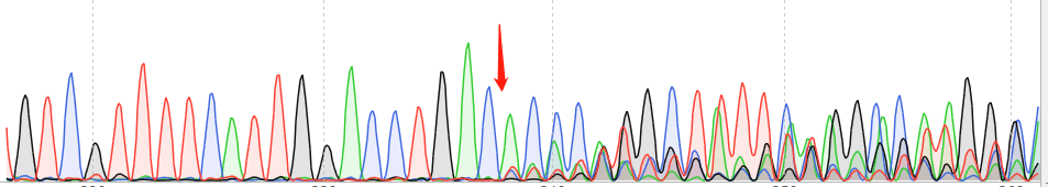 BxPC-3-CAS9 cell line Product Validation Data（RT-QPCR）