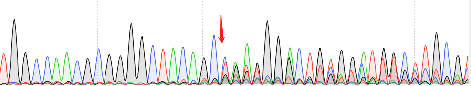 CHO-K1-CAS9 cell line Product Validation Data（RT-QPCR）