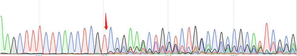 CT26.WT-CAS9 cell line Product Validation Data（RT-QPCR）