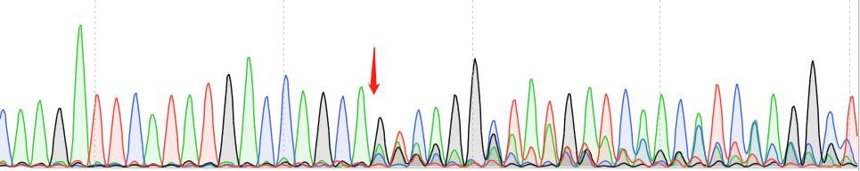 Caco-2-CAS9 cell line Product Validation Data（RT-QPCR）