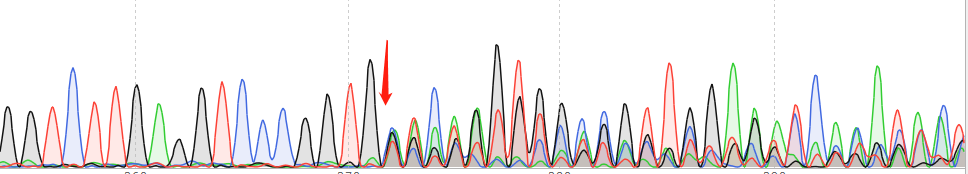 EA.hy926-CAS9 cell line Product Validation Data（RT-QPCR）