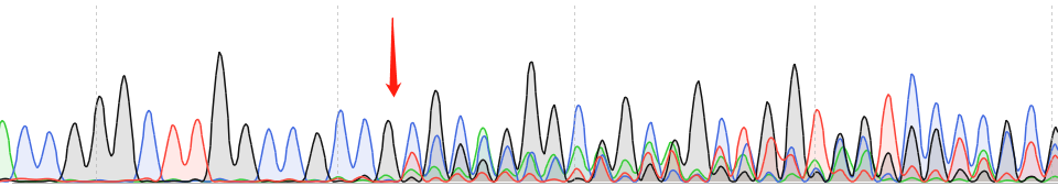 H22-CAS9 cell line Product Validation Data（RT-QPCR）