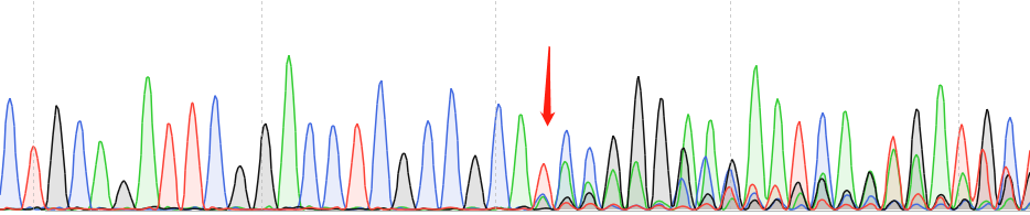 HCC827-CAS9 cell line Product Validation Data（RT-QPCR）