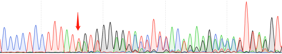 HEK293-CAS9 cell line Product Validation Data（RT-QPCR）