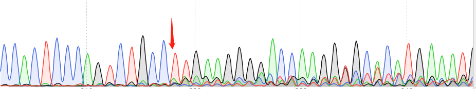 HMC3-CAS9 cell line Product Validation Data（RT-QPCR）