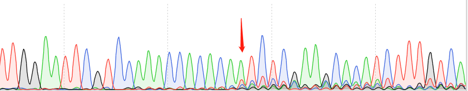 HT-22-CAS9 cell line Product Validation Data（RT-QPCR）