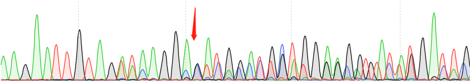 HTR-8/SVneo-CAS9 cell line Product Validation Data（RT-QPCR）