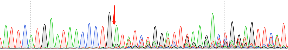 K-562-CAS9 cell line Product Validation Data（RT-QPCR）