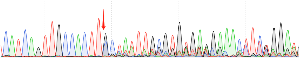 L-02-CAS9 cell line Product Validation Data（RT-QPCR）