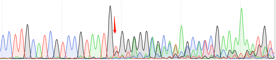 MC38-CAS9 cell line Product Validation Data（RT-QPCR）