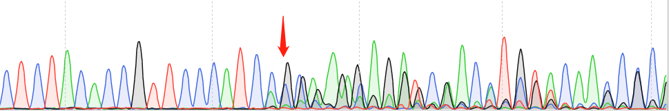 MCF7-CAS9 cell line Product Validation Data（RT-QPCR）