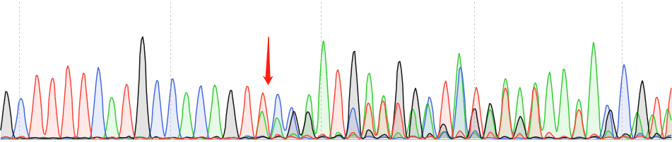 MDA-MB-231-CAS9 cell line Product Validation Data（RT-QPCR）