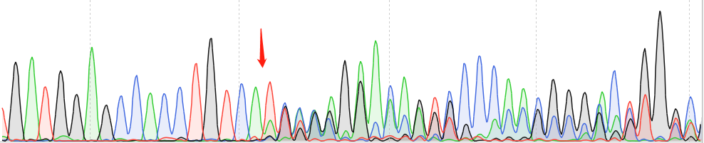 MDCK(NBL-2)-CAS9 cell line Product Validation Data（RT-QPCR）