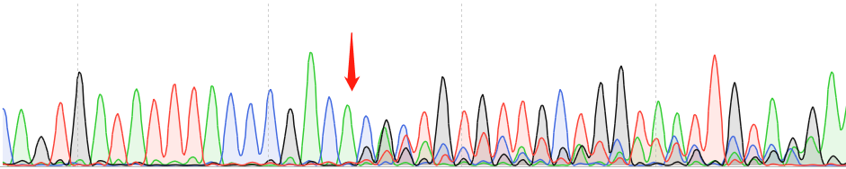 MFE-280-CAS9 cell line Product Validation Data（RT-QPCR）