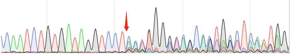 MS751-CAS9 cell line Product Validation Data（RT-QPCR）