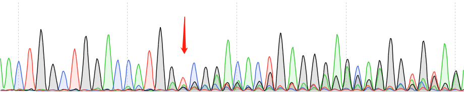 NB4-CAS9 cell line Product Validation Data（RT-QPCR）