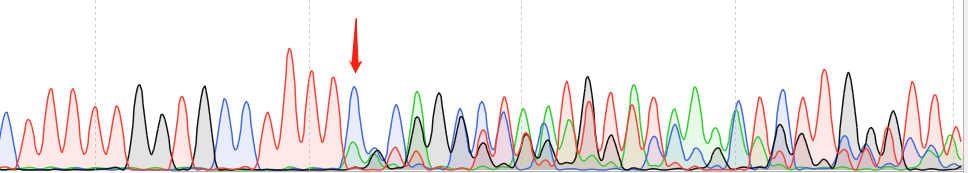 NCI-H1299-CAS9 cell line Product Validation Data（RT-QPCR）