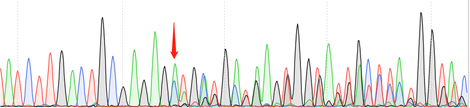 PC-3-CAS9 cell line Product Validation Data（RT-QPCR）