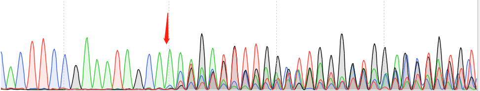 RM-1-CAS9 cell line Product Validation Data（RT-QPCR）