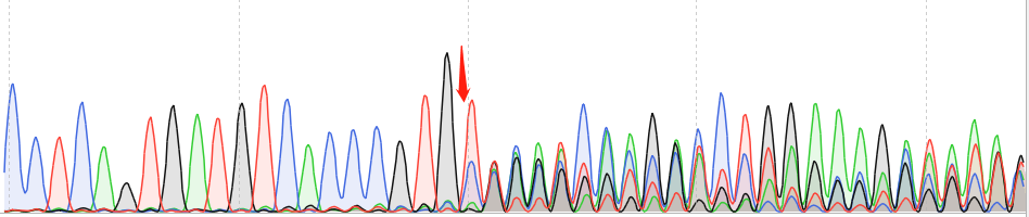 THP-1-CAS9 cell line Product Validation Data（RT-QPCR）