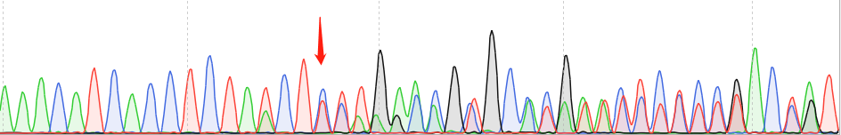 U-2932-CAS9 cell line Product Validation Data（RT-QPCR）